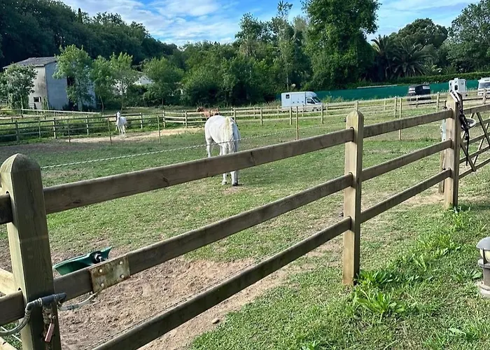 Cdc Stables *